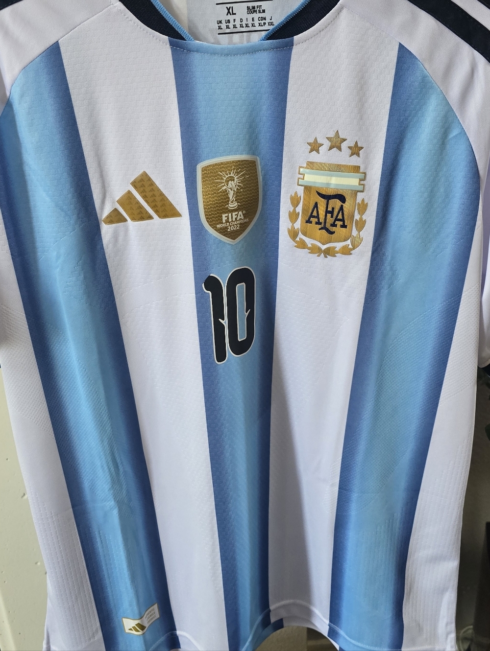 Soccer Jersey - Argentina 10, Sky Blue & White with Gold Accents